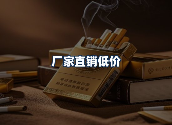 专业团队办公环境